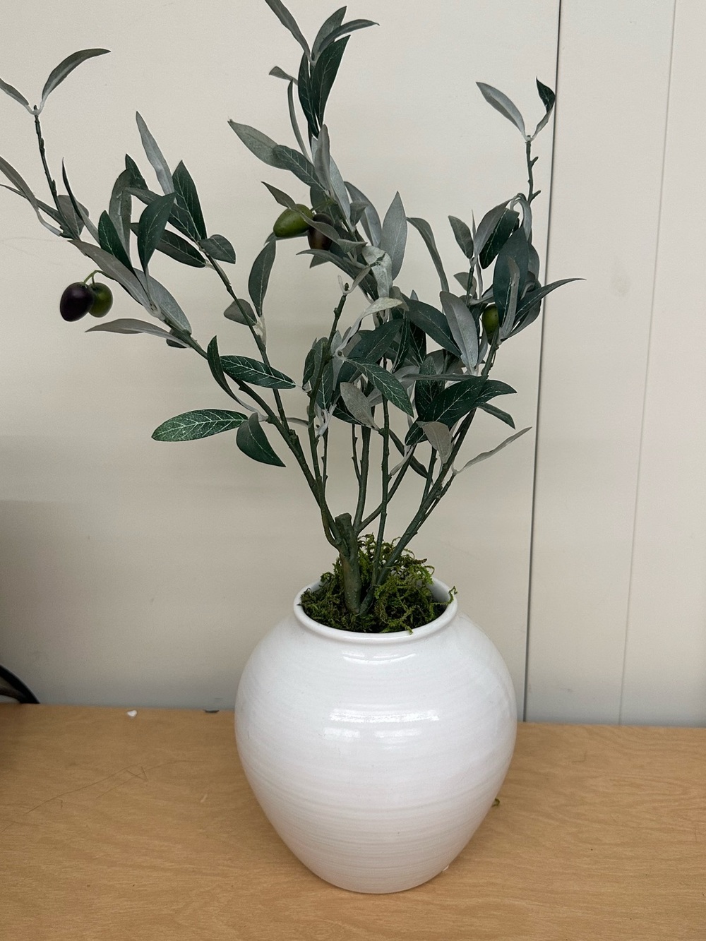 Artificial Olive Branch Arrangement in White Ceramic Vase - Home Accents